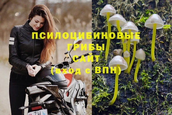 трава Нягань