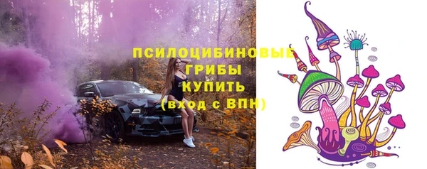 ALPHA-PVP Няндома