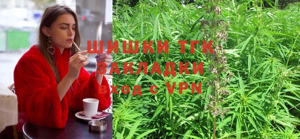 трава Нягань