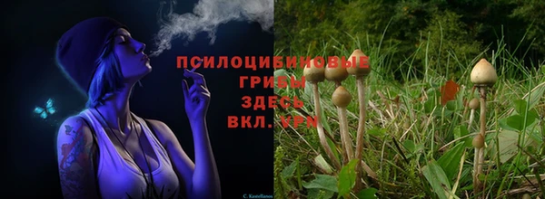 синтетический гашиш Нязепетровск